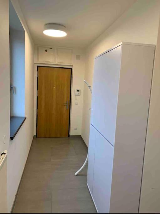 Apartman Holesovice,Balkon,Garaz Praga Esterno foto