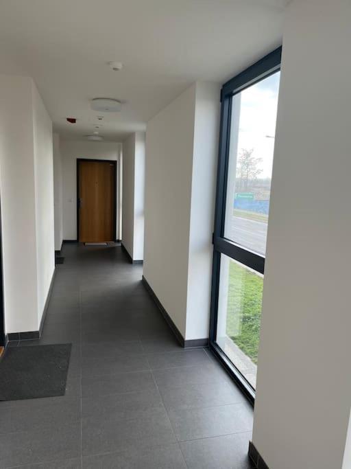 Apartman Holesovice,Balkon,Garaz Praga Esterno foto